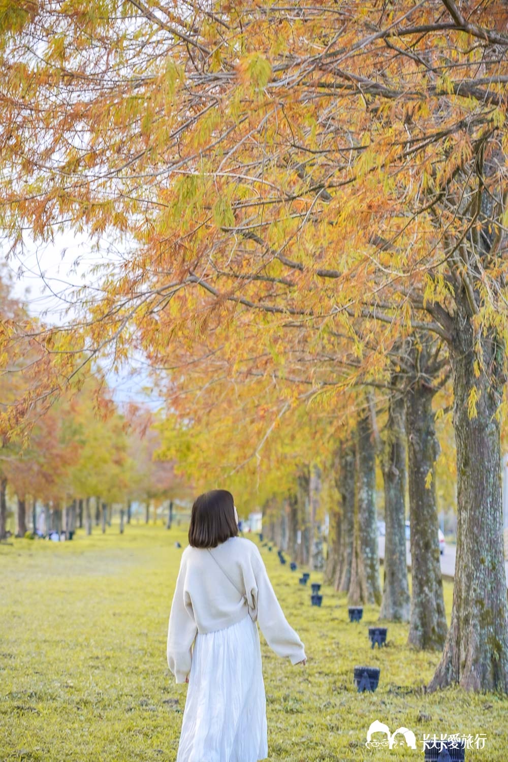 宜蘭景點三星落羽松秘境|安農溪畔絕美風景停車時間附近美食 - 第30張圖