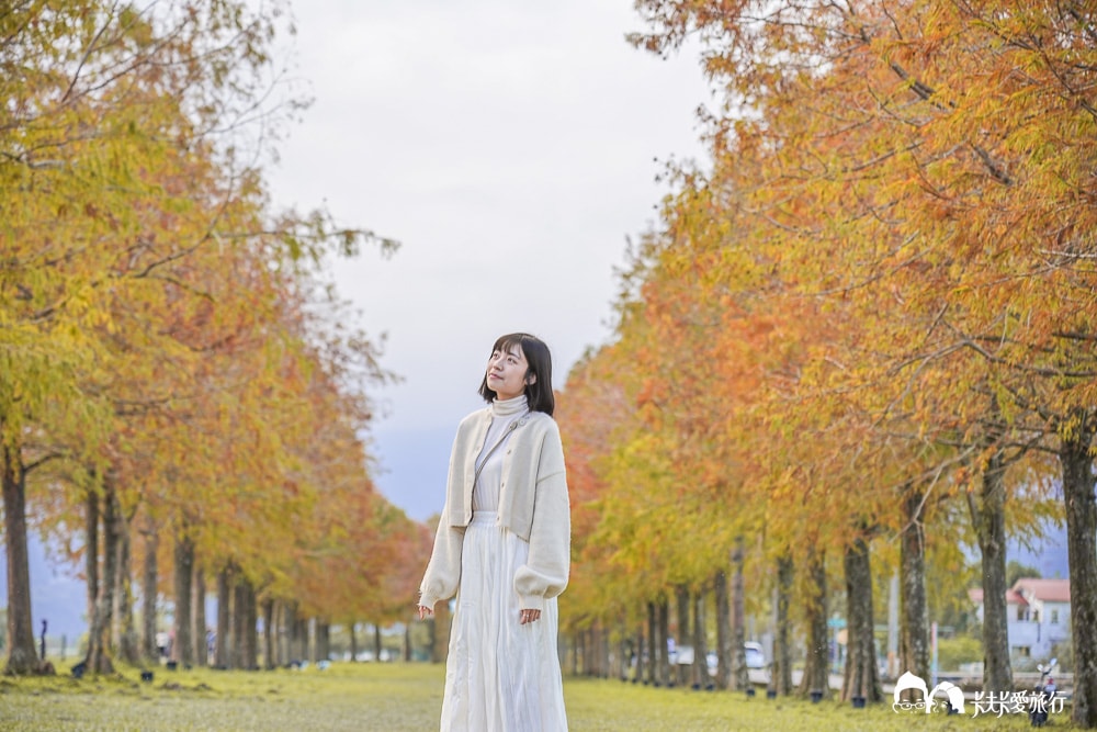 宜蘭景點三星落羽松秘境|安農溪畔絕美風景停車時間附近美食 - 第17張圖