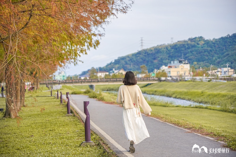 宜蘭景點三星落羽松秘境|安農溪畔絕美風景停車時間附近美食 - 第25張圖