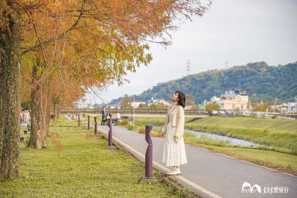 宜蘭景點三星落羽松秘境|安農溪畔絕美風景停車時間附近美食 - 第12張圖