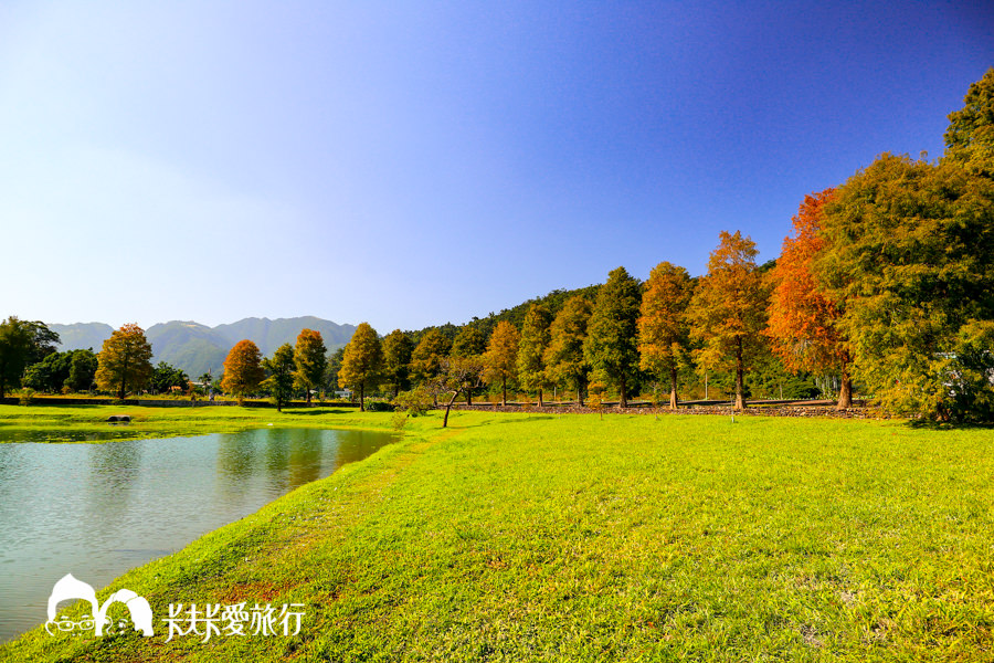 【宜蘭景點】金黃色浪漫5個宜蘭落羽松秘境｜秋冬限定的美景變色的季節月份時間