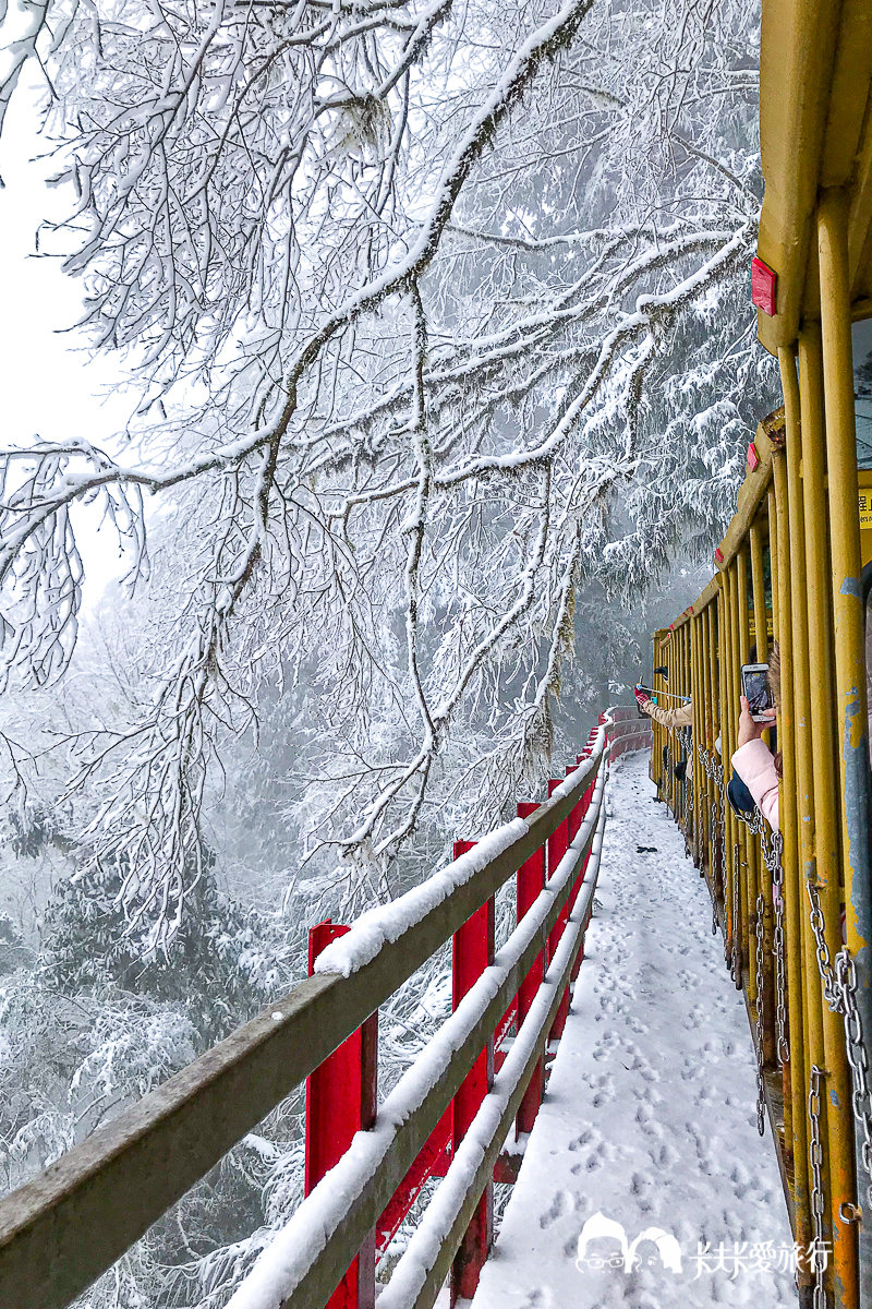 太平山下雪了！夢幻宜蘭太平山賞雪一日遊｜免租雪鏈包車專屬司機行程全攻略 - kafu.tw