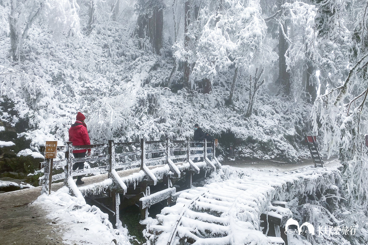 太平山下雪了！夢幻宜蘭太平山賞雪一日遊｜免租雪鏈包車專屬司機行程全攻略 - kafu.tw