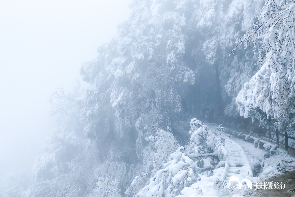 太平山下雪了！夢幻宜蘭太平山賞雪一日遊｜免租雪鏈包車專屬司機行程全攻略 - kafu.tw