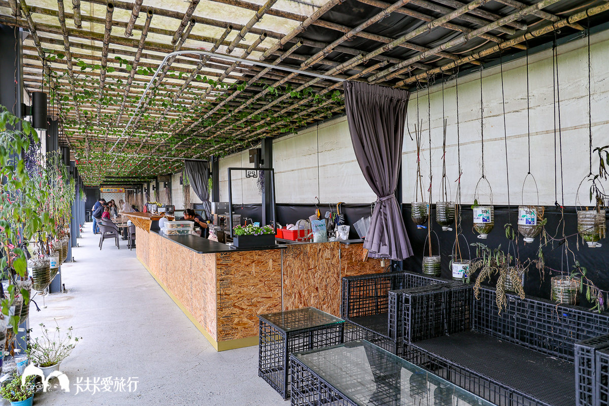 不用去花蓮！宜蘭金針花海盛開了！礁溪鷗漫景觀農場金針花｜花期位置地圖門票交通方式