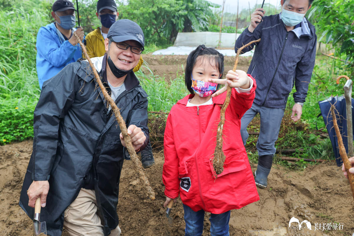 新北貢寮景點小旅行老街遊程,親子貢寮山藥體驗祭美食饗宴貓店長DIY手作課程 - 第12張圖