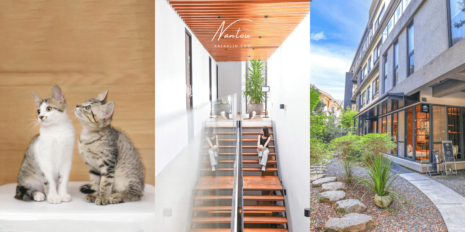 南投日月潭朵麗絲的家 寵物,貓咪友善旅館推薦