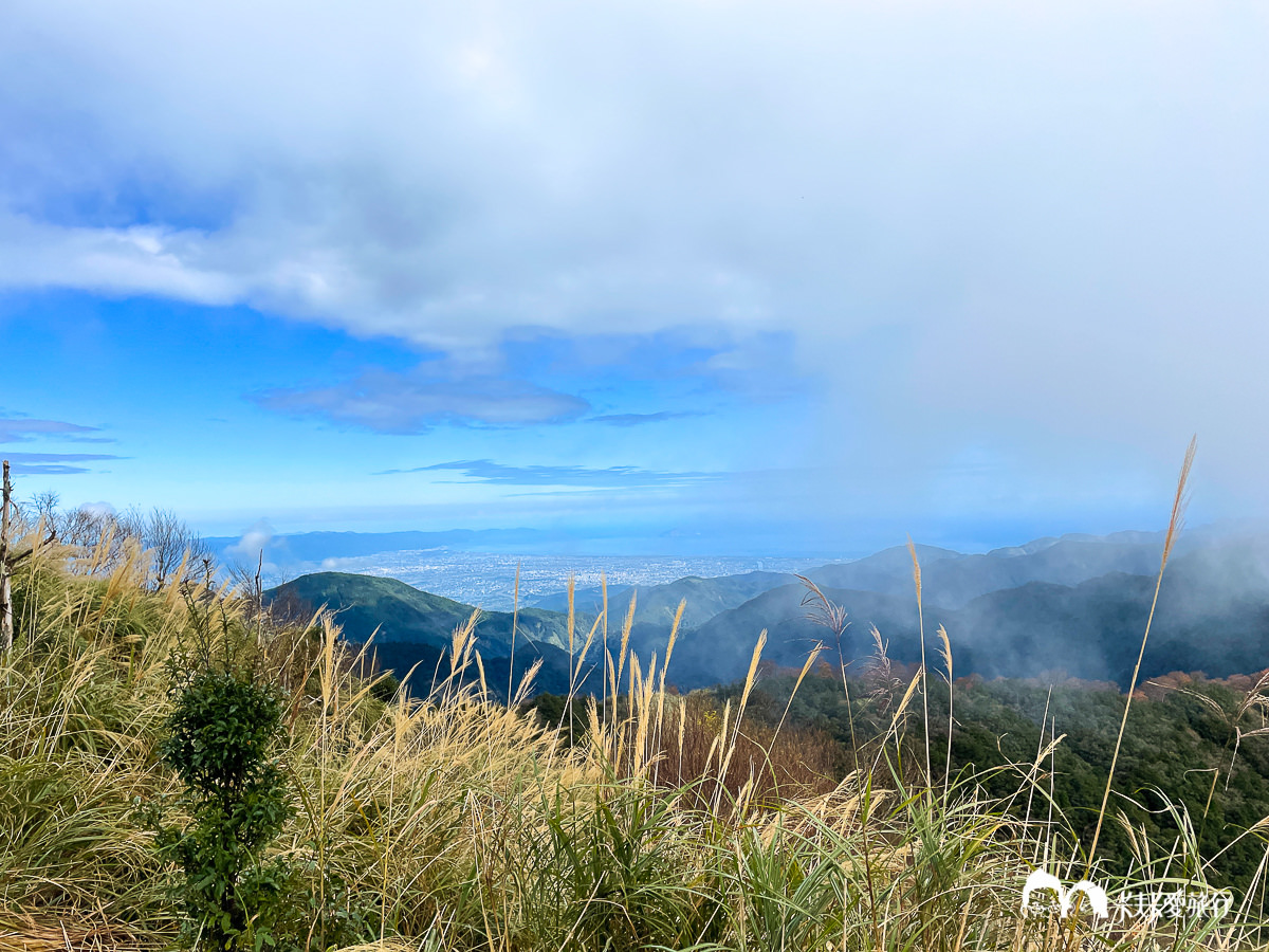太平山台灣山毛櫸國家步道｜必訪絕美金黃樹海秘境遠眺龜山島與太平洋 - kafu.tw