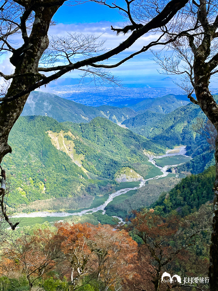 太平山台灣山毛櫸國家步道｜必訪絕美金黃樹海秘境遠眺龜山島與太平洋 - kafu.tw