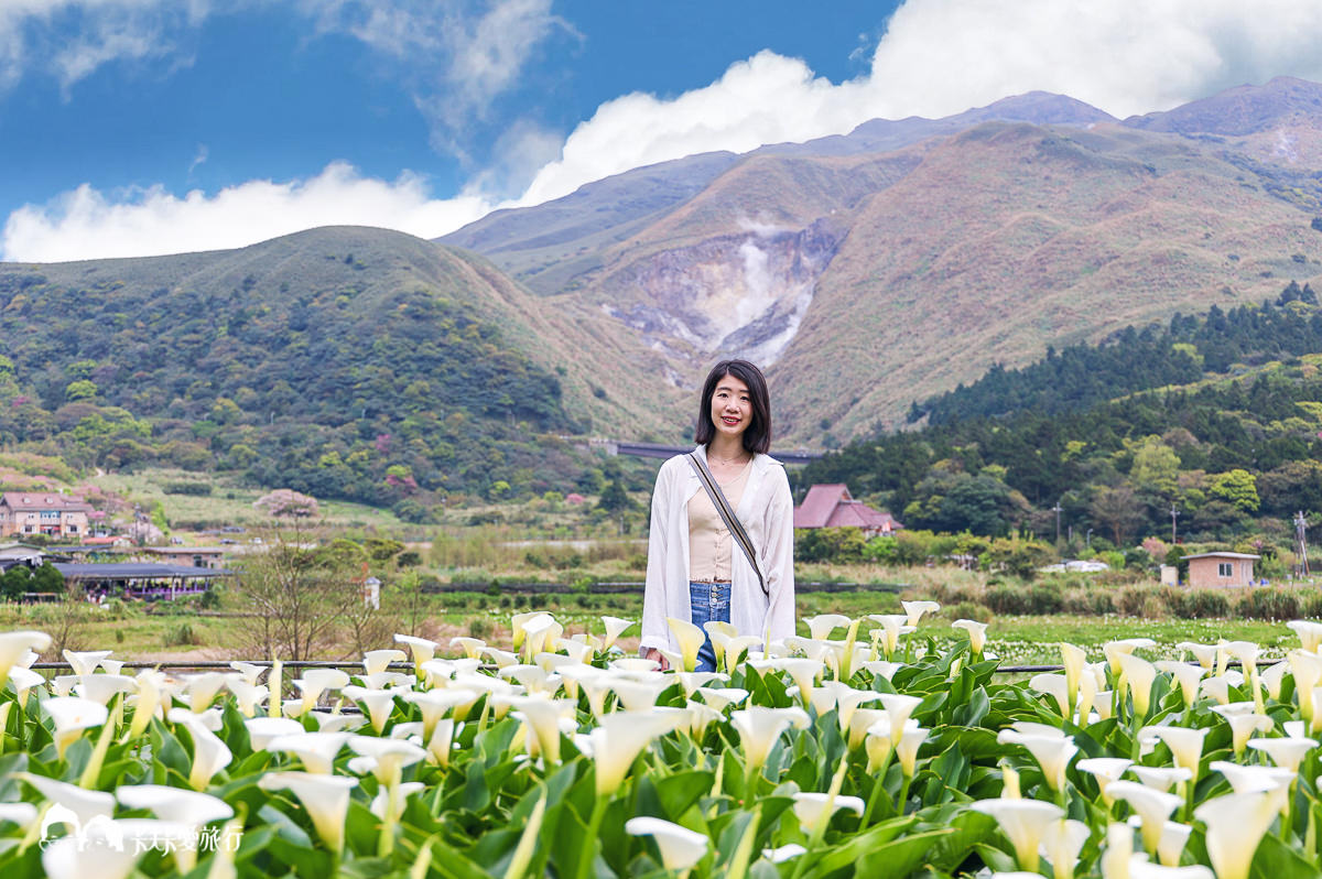 陽明山海芋竹子湖花季｜最美必拍名陽匍農莊+豆留森林竹子湖怎麼玩