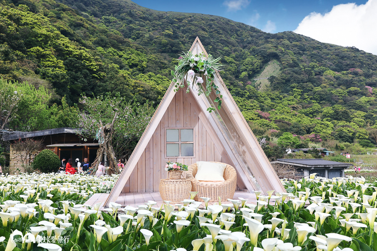 陽明山海芋竹子湖花季｜最美必拍名陽匍農莊+豆留森林竹子湖怎麼玩