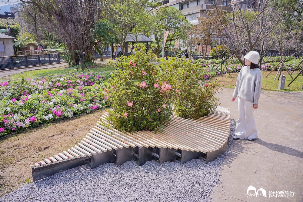 新北萬金杜鵑花展亮點攻略|打卡必拍北海岸金山老街景點一日遊 - 第75張圖