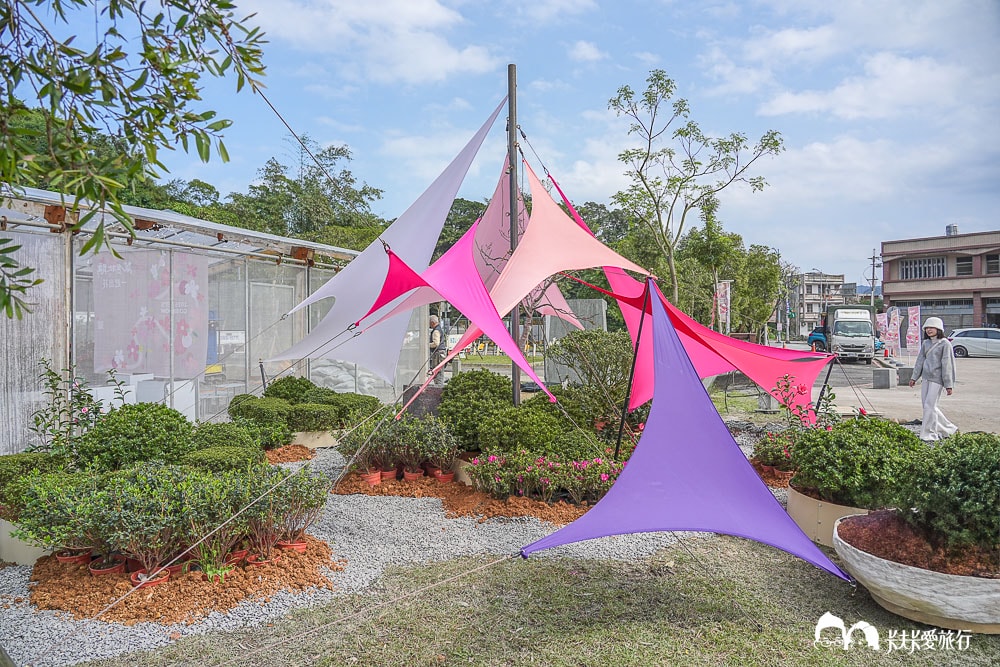 新北萬金杜鵑花展亮點攻略|打卡必拍北海岸金山老街景點一日遊 - 第76張圖
