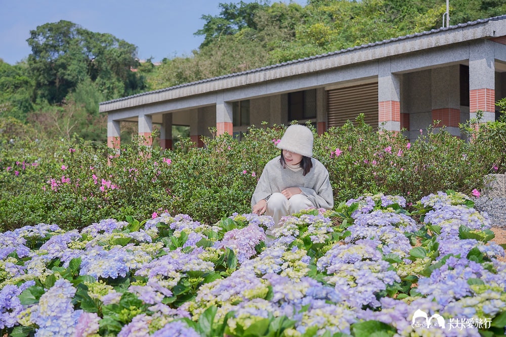 新北萬金杜鵑花展亮點攻略|打卡必拍北海岸金山老街景點一日遊 - 第36張圖