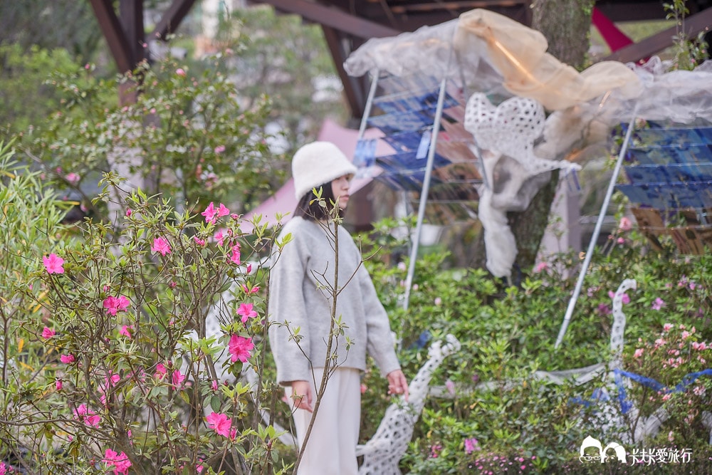 新北萬金杜鵑花展亮點攻略|打卡必拍北海岸金山老街景點一日遊 - 第68張圖