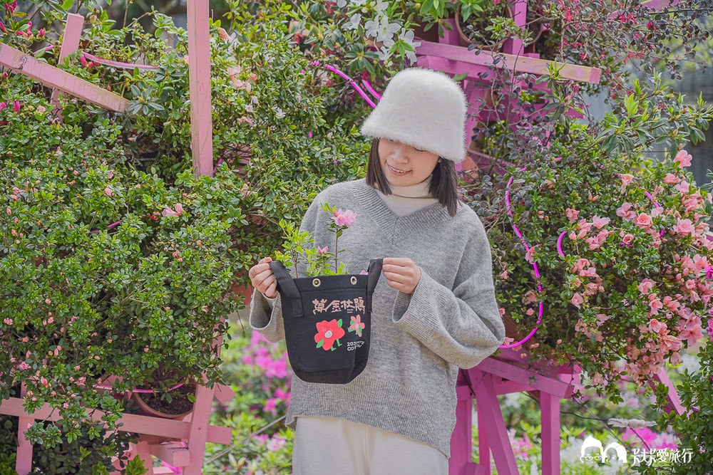 新北萬金杜鵑花展亮點攻略|打卡必拍北海岸金山老街景點一日遊 - 第85張圖