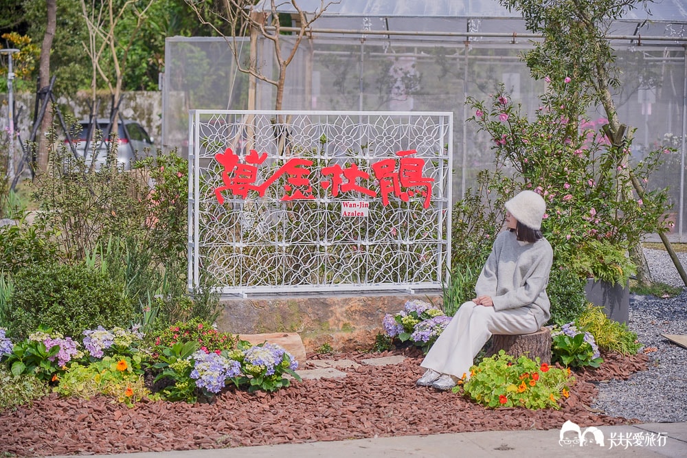新北萬金杜鵑花展亮點攻略|打卡必拍北海岸金山老街景點一日遊 - 第18張圖