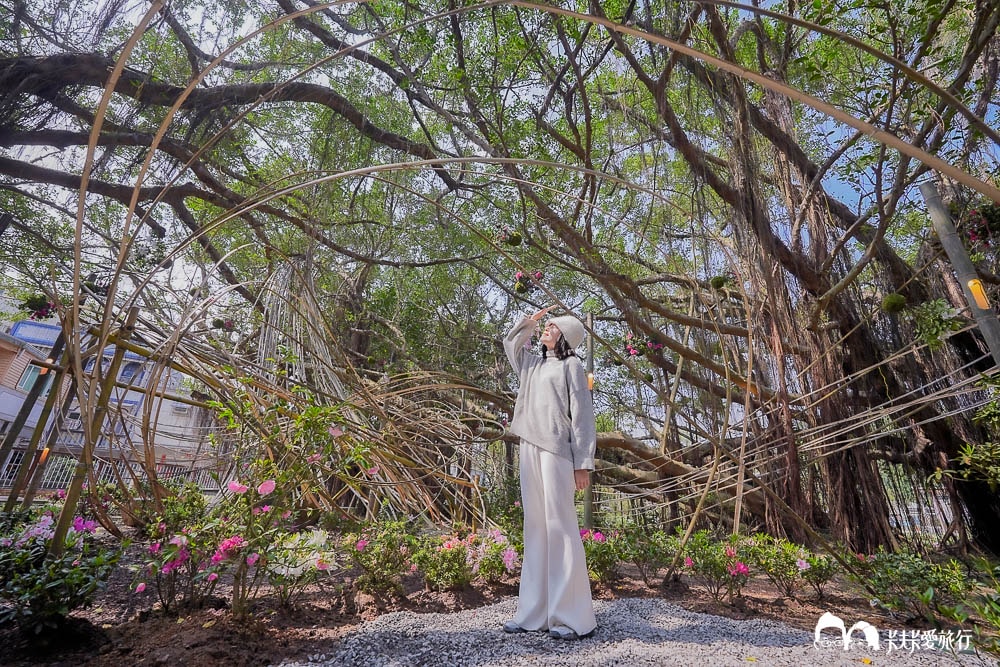 新北萬金杜鵑花展亮點攻略|打卡必拍北海岸金山老街景點一日遊 - 第43張圖
