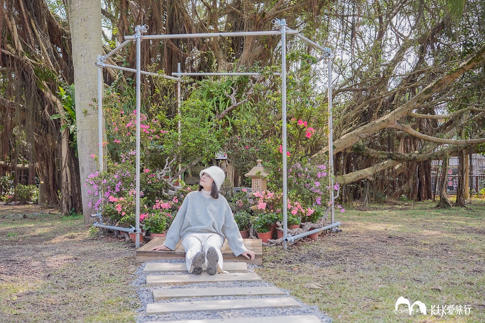 新北萬金杜鵑花展亮點攻略|打卡必拍北海岸金山老街景點一日遊 - 第49張圖