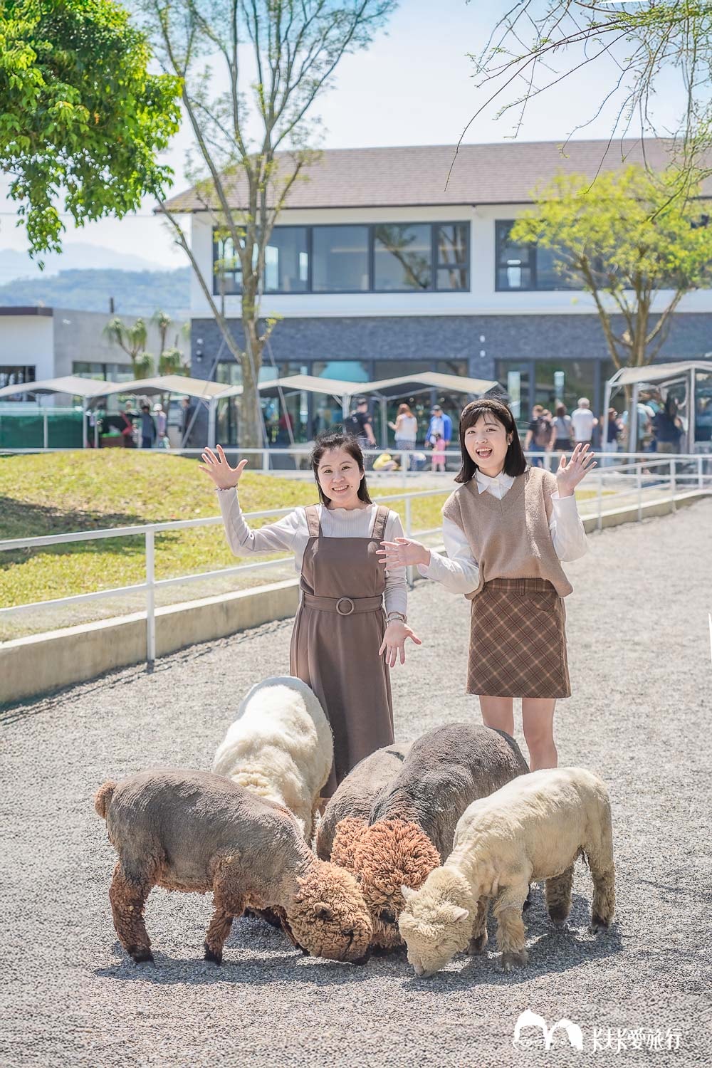 樹懶餐廳|宜蘭親子景點推薦,超萌泰迪羊+美食必點菜單攻略 - 第18張圖