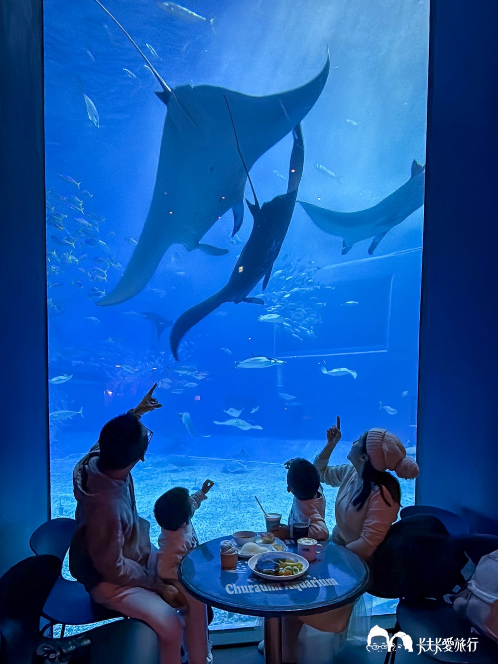 沖繩美麗海水族館 Ocean Blue Café|鯨鯊陪你吃美食,最夢幻的海景餐廳菜單訂位方式 - 第11張圖