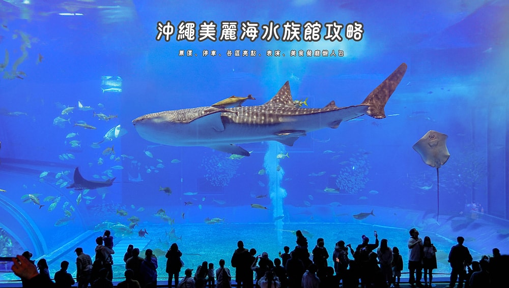 沖繩美麗海水族館攻略|必玩景點門票、美食餐廳海生館懶人包 - 第1張圖