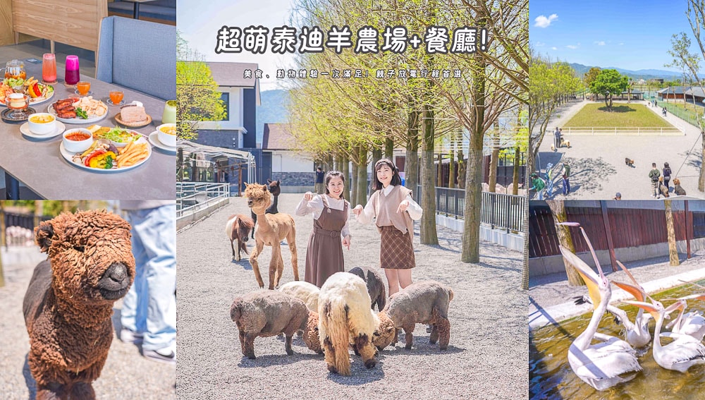 樹懶餐廳|宜蘭親子景點推薦,超萌泰迪羊+美食必點菜單攻略 - 第1張圖
