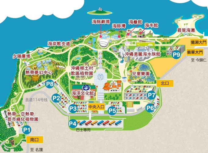 沖繩美麗海水族館攻略|必玩景點門票、美食餐廳海生館懶人包 - 第15張圖