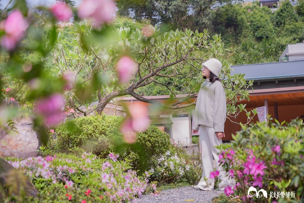 新北萬金杜鵑花展亮點攻略|打卡必拍北海岸金山老街景點一日遊 - 第16張圖