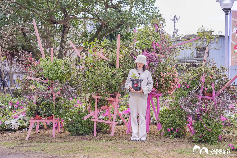 新北萬金杜鵑花展亮點攻略|打卡必拍北海岸金山老街景點一日遊 - 第70張圖