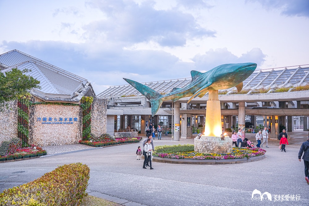 沖繩美麗海水族館攻略|必玩景點門票、美食餐廳海生館懶人包 - 第12張圖