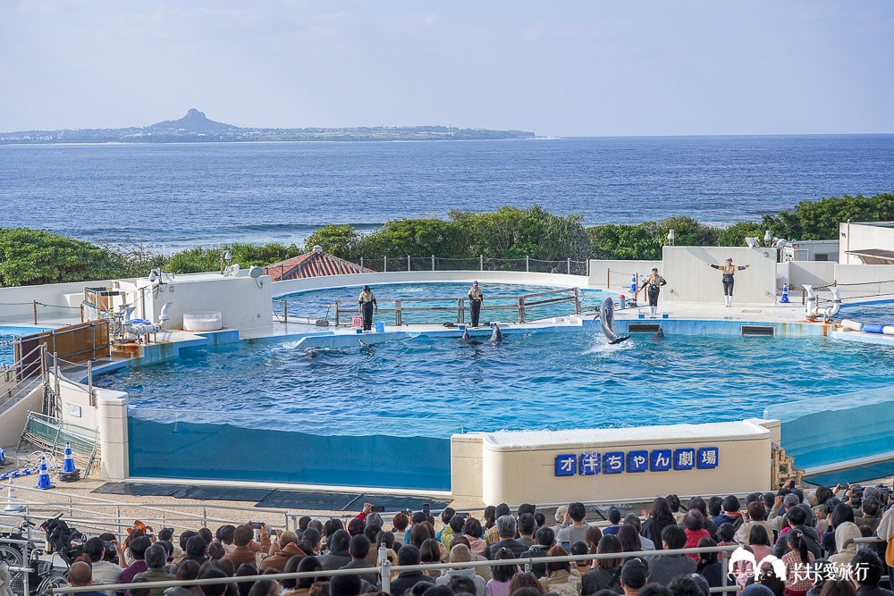 沖繩美麗海水族館攻略|必玩景點門票、美食餐廳海生館懶人包 - 第73張圖