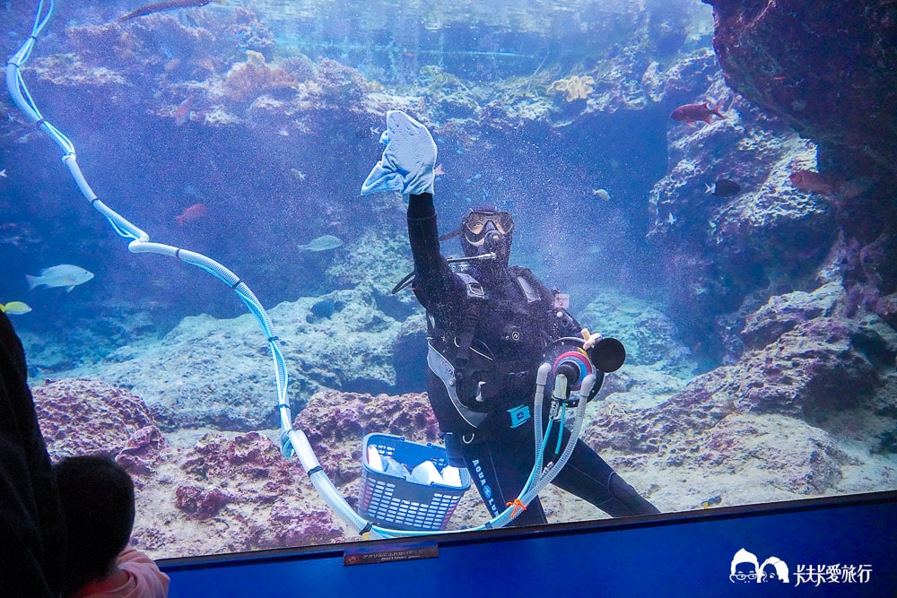 沖繩美麗海水族館攻略|必玩景點門票、美食餐廳海生館懶人包 - 第72張圖
