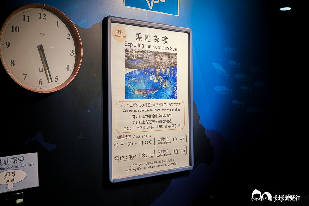 沖繩美麗海水族館攻略|必玩景點門票、美食餐廳海生館懶人包 - 第52張圖