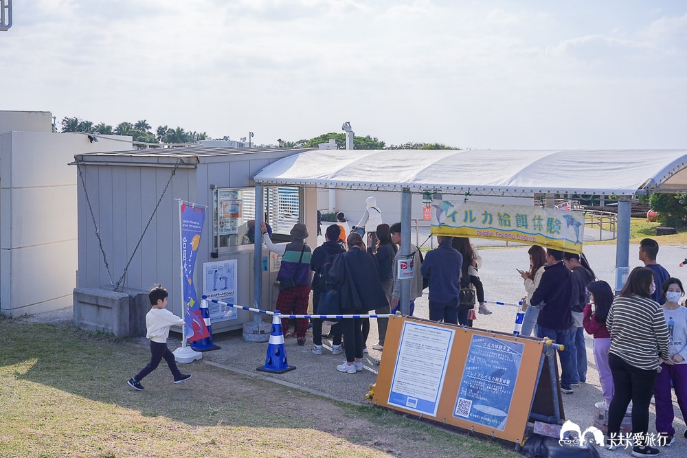 沖繩美麗海水族館攻略|必玩景點門票、美食餐廳海生館懶人包 - 第29張圖