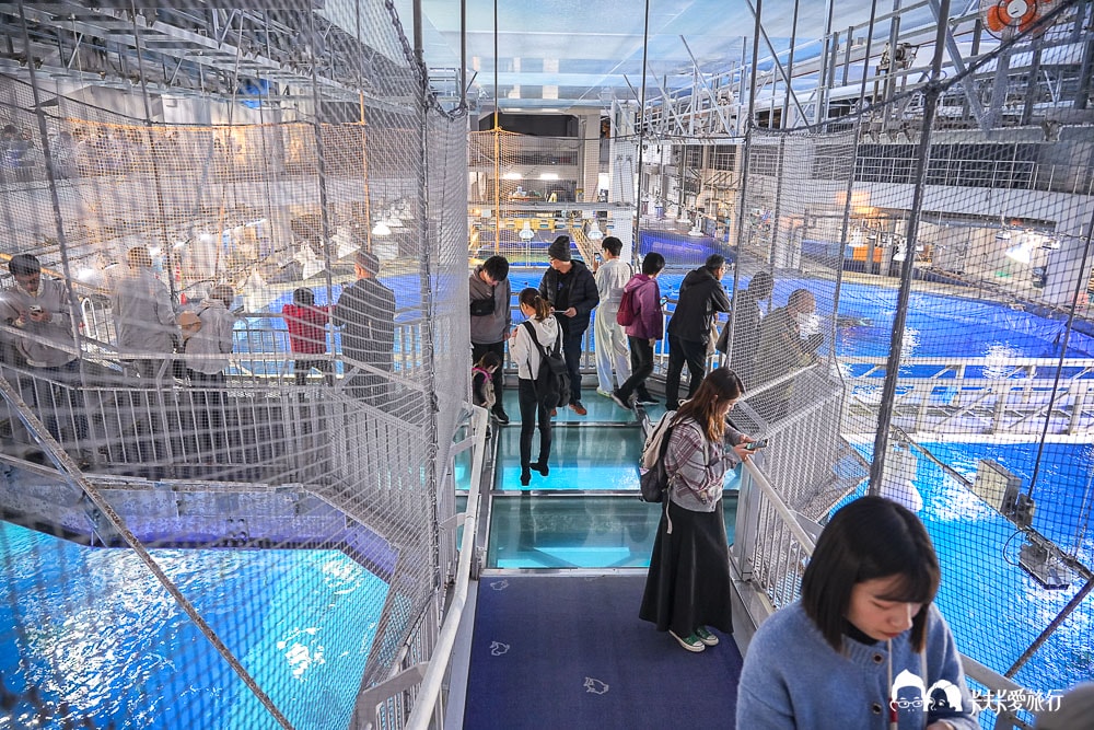 沖繩美麗海水族館攻略|必玩景點門票、美食餐廳海生館懶人包 - 第53張圖