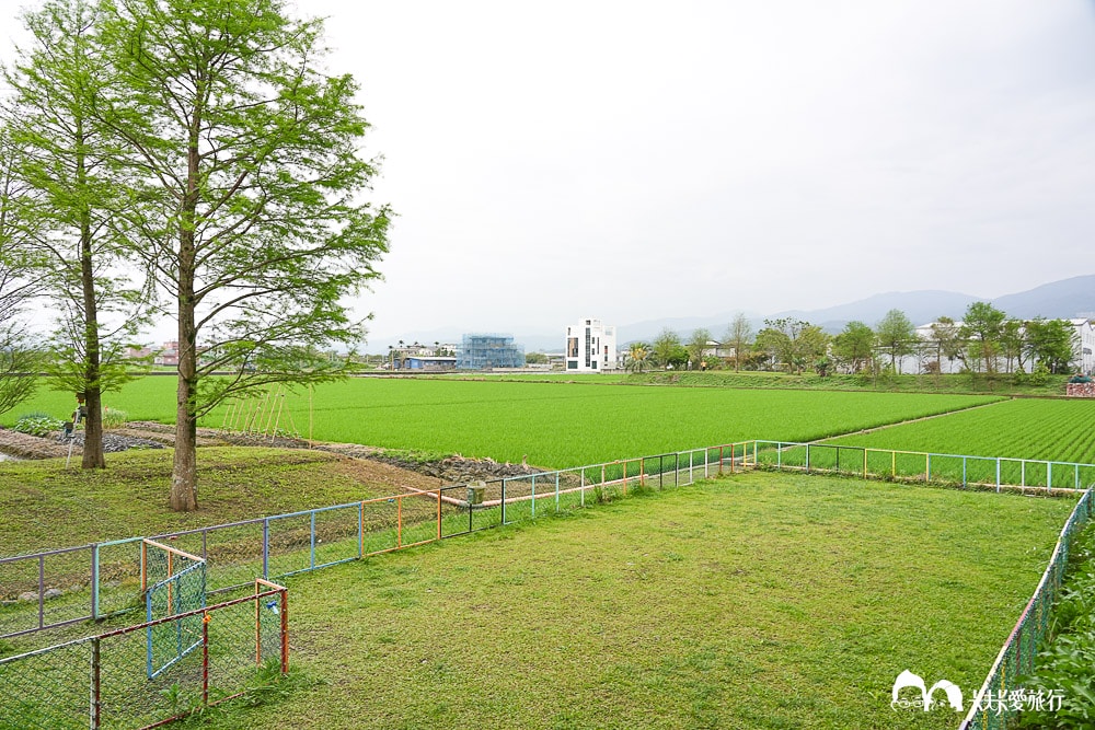 礁溪美食推薦-吸貓咖啡館|宜蘭寵物友善餐廳,必吃南洋料理下午茶甜點最新菜單 - 第75張圖