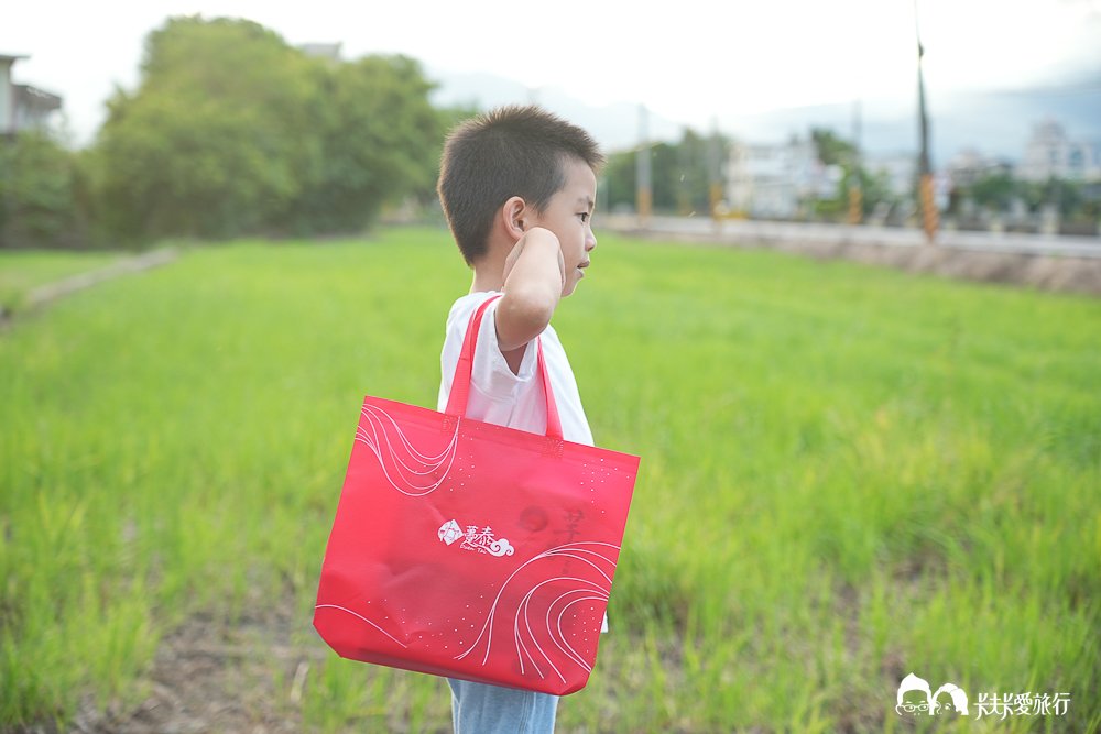 台中伴手禮推薦-躉泰芋香流芯酥|大甲芋頭酥名產ptt推薦嗎?dcard評價如何? - 第13張圖