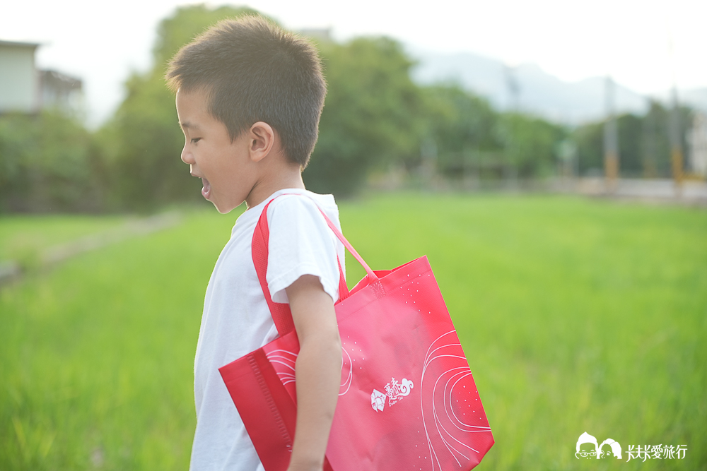 台中伴手禮推薦-躉泰芋香流芯酥|大甲芋頭酥名產ptt推薦嗎?dcard評價如何? - 第32張圖