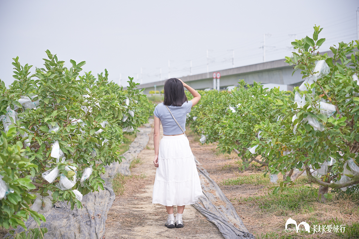 台南一日遊景點|金牌農村×菁寮老街《俗女養成記》取景地與後壁秘境小旅行 - 第5張圖