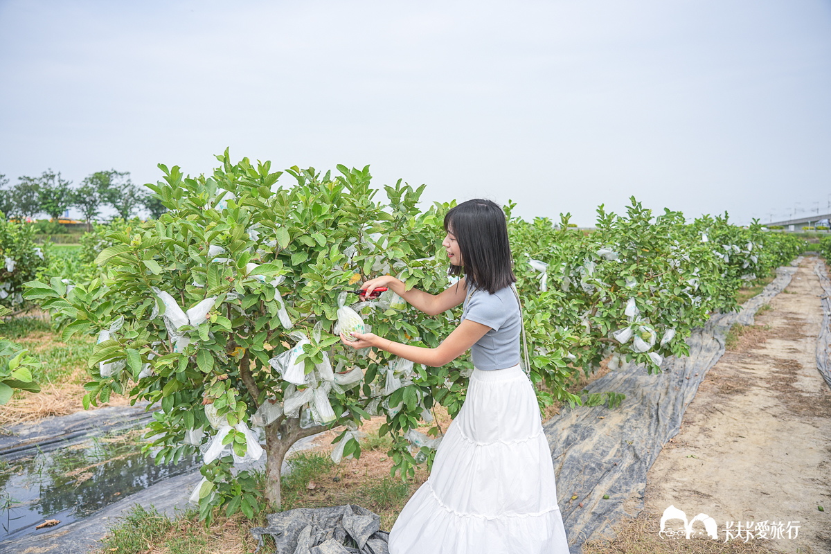 台南一日遊景點|金牌農村×菁寮老街《俗女養成記》取景地與後壁秘境小旅行 - 第7張圖