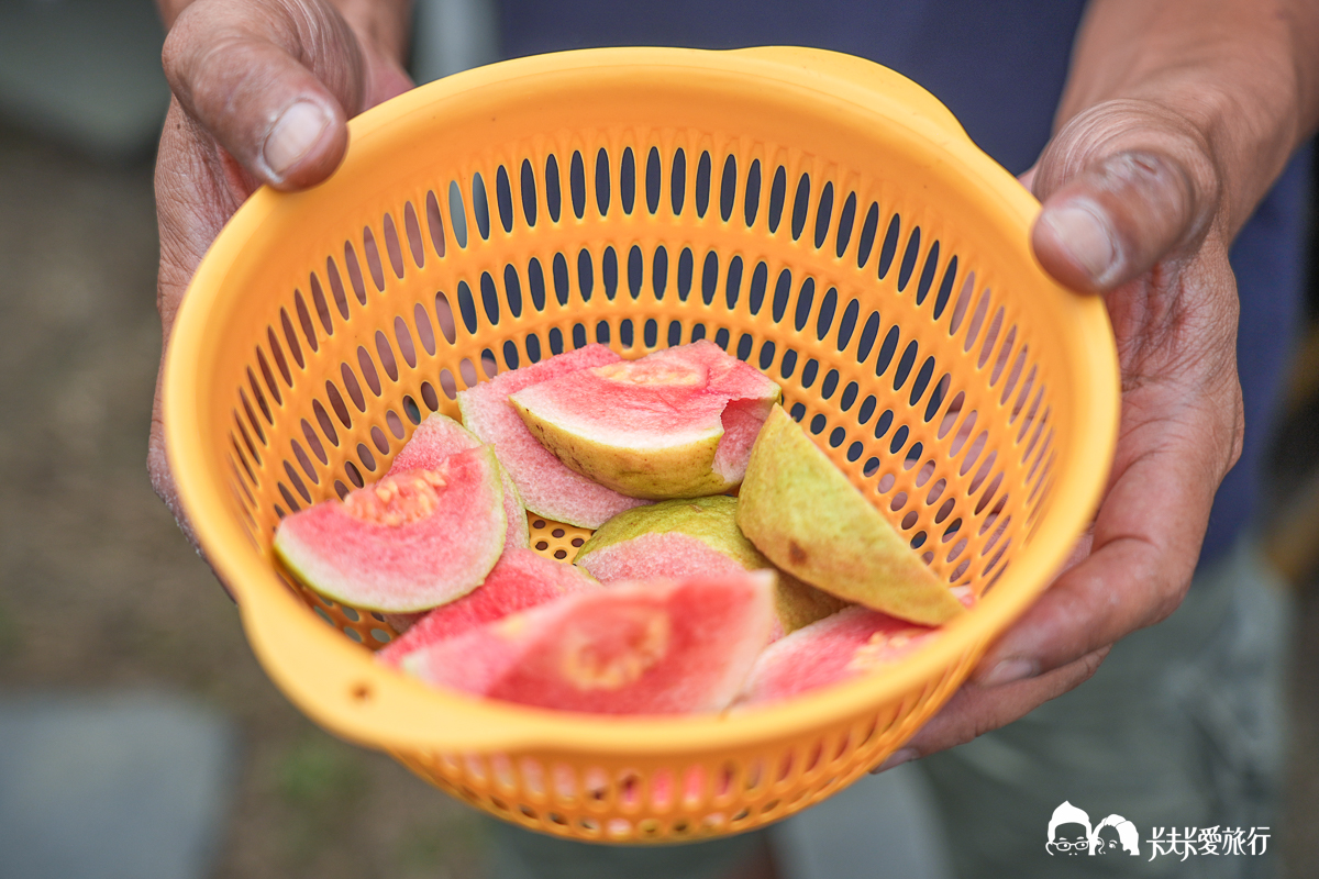 台南一日遊景點|金牌農村×菁寮老街《俗女養成記》取景地與後壁秘境小旅行 - 第9張圖