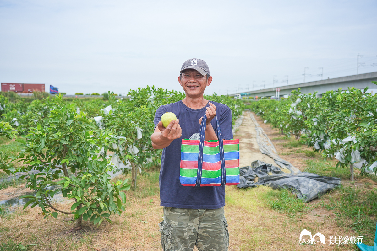 台南一日遊景點|金牌農村×菁寮老街《俗女養成記》取景地與後壁秘境小旅行 - 第6張圖