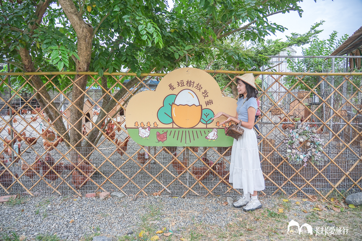 台南一日遊景點|金牌農村×菁寮老街《俗女養成記》取景地與後壁秘境小旅行 - 第48張圖