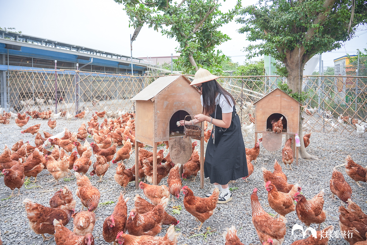 台南一日遊景點|金牌農村×菁寮老街《俗女養成記》取景地與後壁秘境小旅行 - 第50張圖