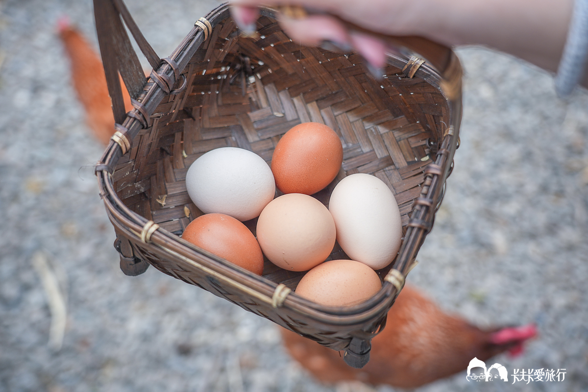 台南一日遊景點|金牌農村×菁寮老街《俗女養成記》取景地與後壁秘境小旅行 - 第51張圖