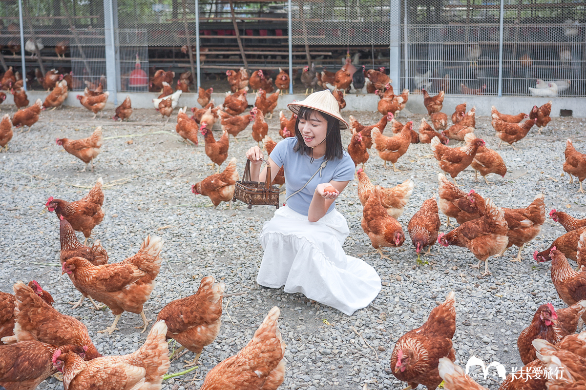 台南一日遊景點|金牌農村×菁寮老街《俗女養成記》取景地與後壁秘境小旅行 - 第49張圖