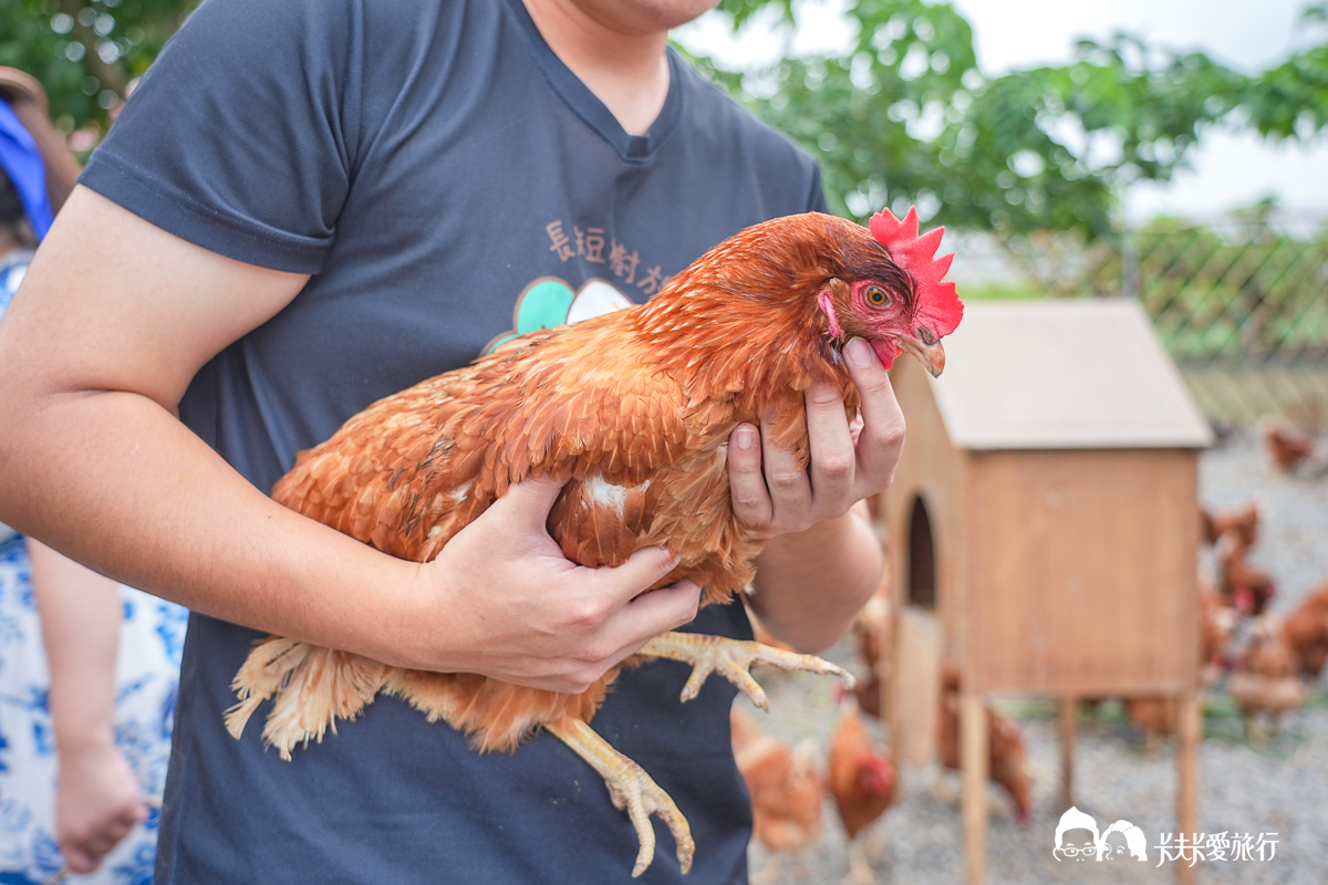 台南一日遊景點|金牌農村×菁寮老街《俗女養成記》取景地與後壁秘境小旅行 - 第54張圖