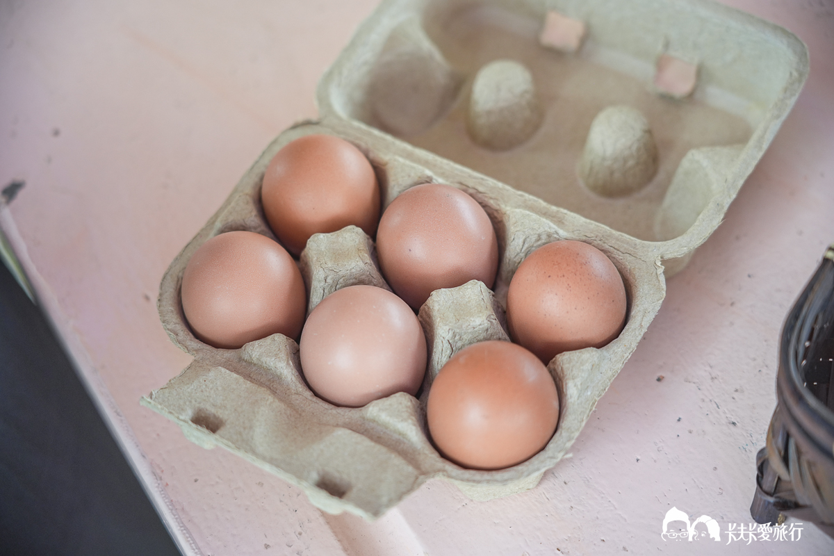台南一日遊景點|金牌農村×菁寮老街《俗女養成記》取景地與後壁秘境小旅行 - 第52張圖