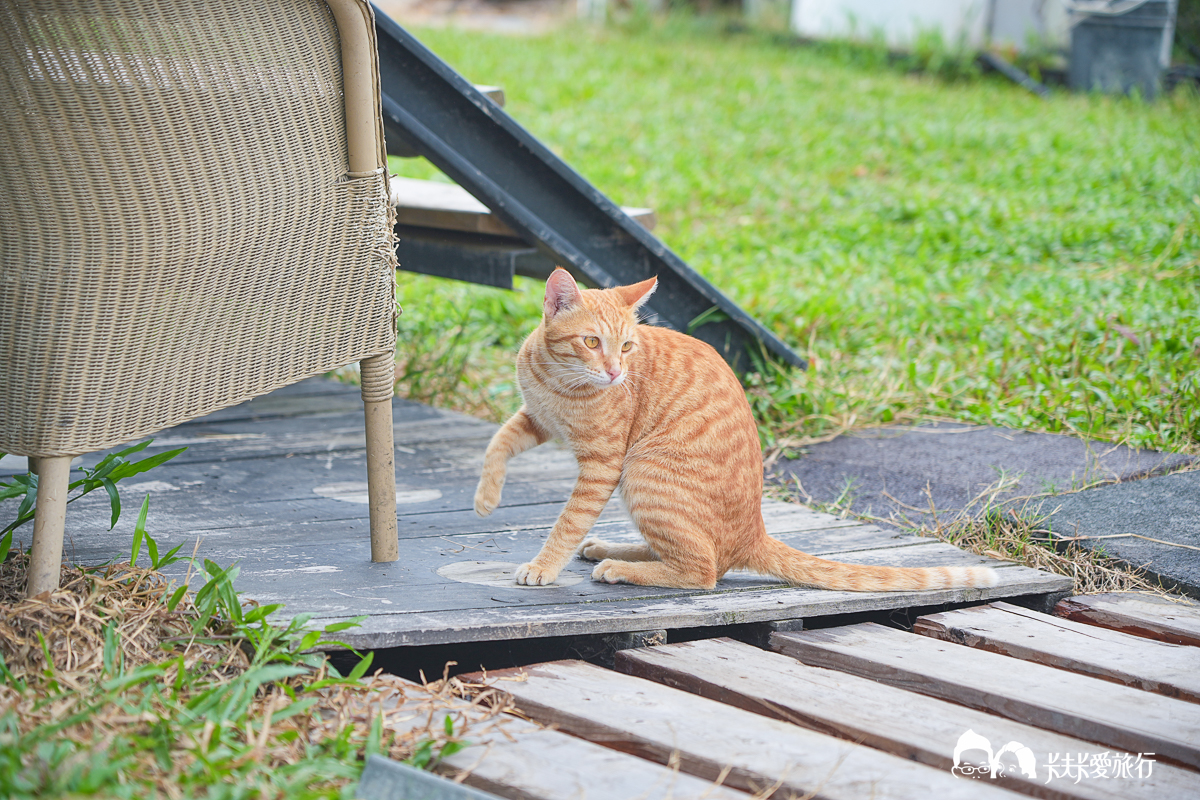 台南一日遊景點|金牌農村×菁寮老街《俗女養成記》取景地與後壁秘境小旅行 - 第8張圖